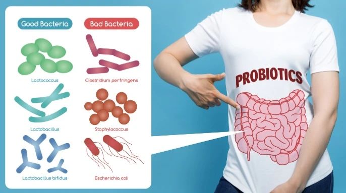 超越大腦：腸道(dào)菌群如何影響阿爾茨海默病？